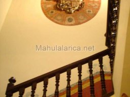 Mula Antigua serie-2